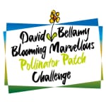 Bellamy Challenge Polinator Patch