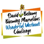Bellamy Challenge Wonderful Wetlands