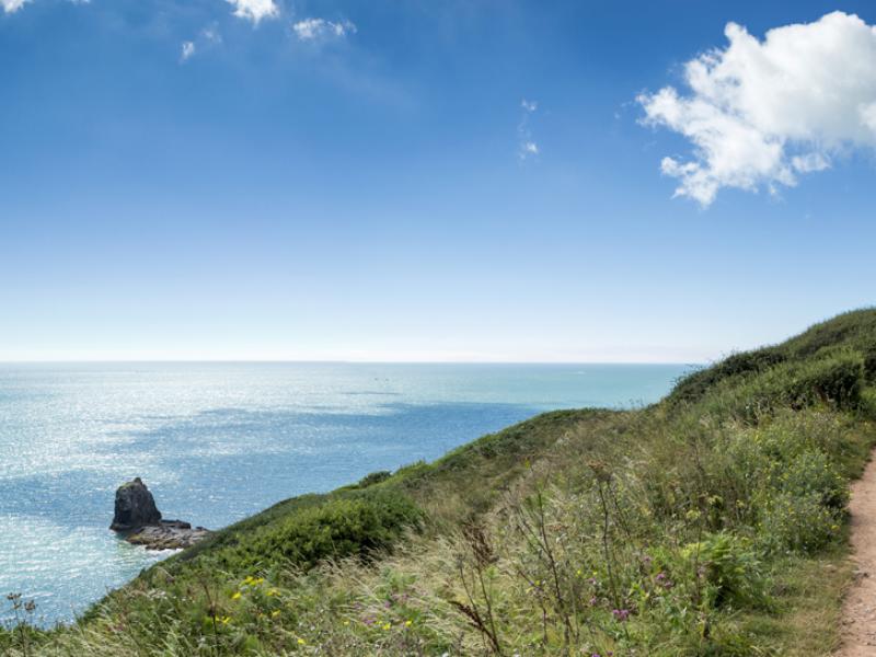 Landscove Holiday Park