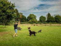 Arrow Bank Holiday Park