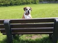 Beech Croft Farm Caravan & Camping Park