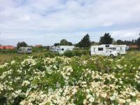 Deepdale Camping & Rooms