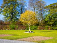 Drummohr Camping & Glamping Site