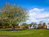 Drummohr Camping & Glamping Site