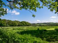 Graston Copse Holiday Park