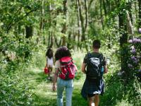 Green Hill Farm Holiday Village