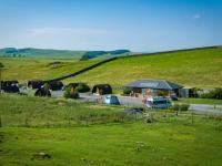 Herding Hill Farm Camping & Glamping Site
