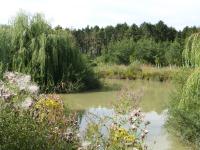 Highfields Country Holiday Fishing Retreat