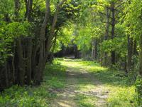 Highfields Country Holiday Fishing Retreat