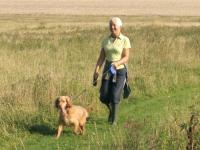 Highfields Country Holiday Fishing Retreat