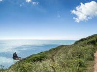 Landscove Holiday Park