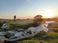 Langstone Manor Holiday Park