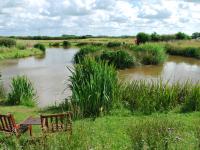 Moss Wood Caravan Park