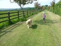 Oakdown Holiday Park