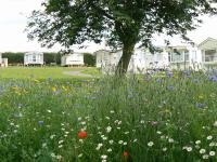 Old Hall Park