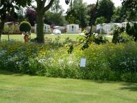 Old Hall Park