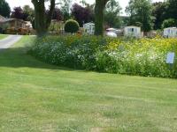 Old Hall Park