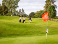 Plassey Holiday Park