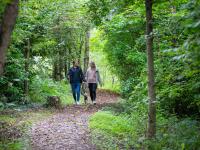 Plassey Holiday Park