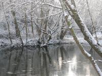 Three Ponds Holiday Park