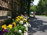 Three Ponds Holiday Park