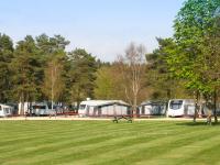 Wareham Forest Tourist Park
