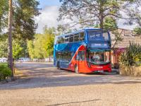 Wareham Forest Tourist Park