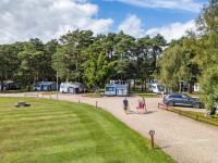 Wareham Forest Tourist Park