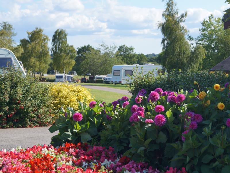 bers Caravan & Camping Park, Devon UK Parks