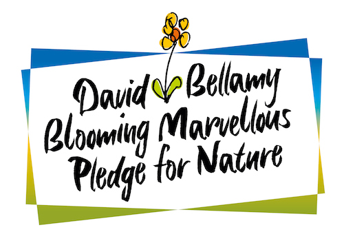 David Bellamy Blooming Marvellous