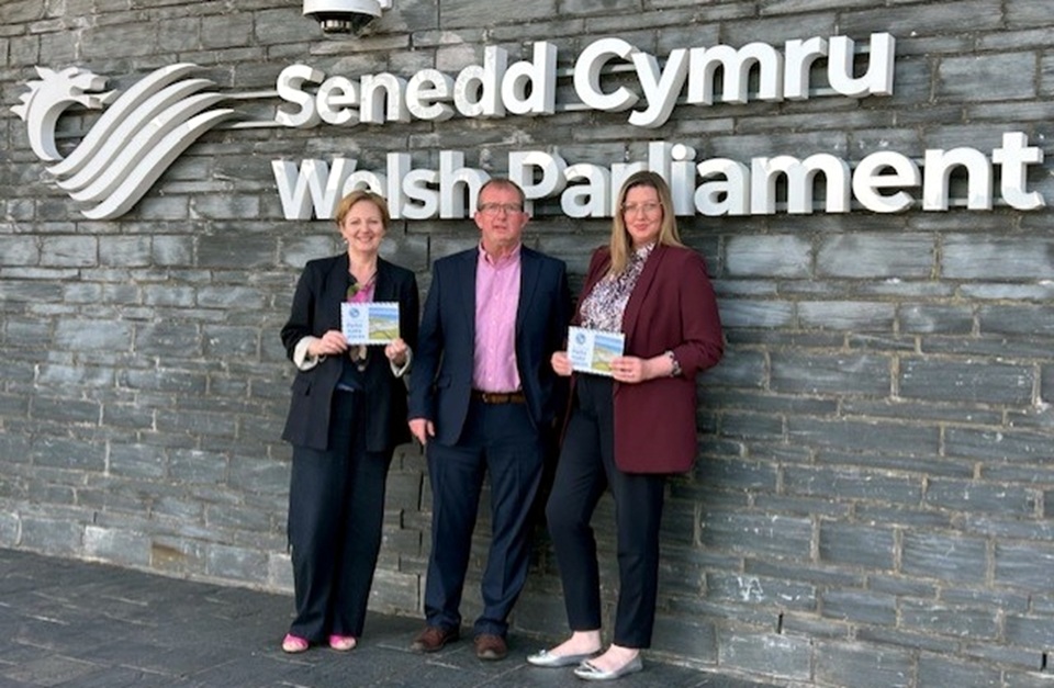 Senedd Meets Wales Holiday Parks