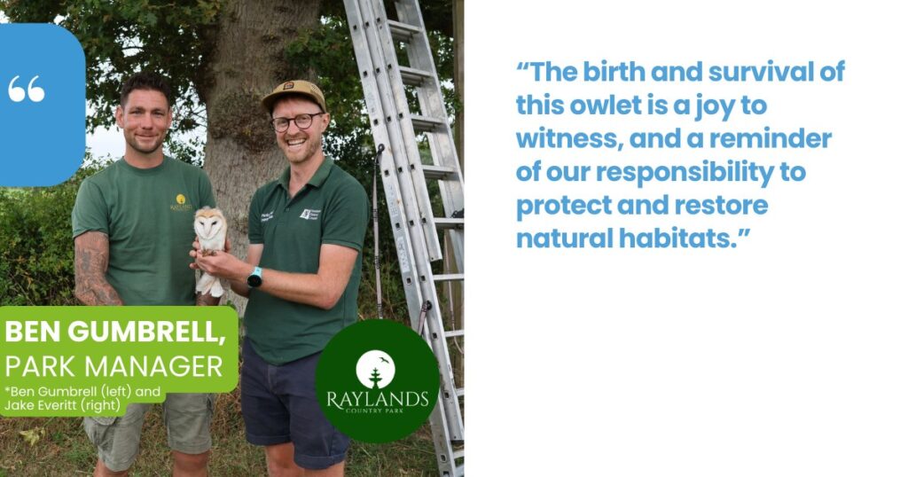 Raylands Country Park - Owlet birth