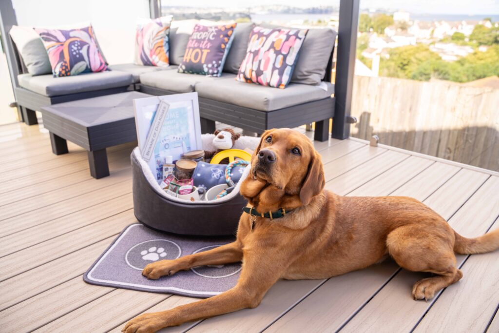 Devon dog-friendly holiday park - Beverley Holidays