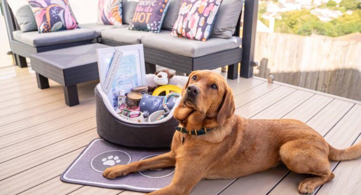 Devon dog-friendly holiday park - Beverley Holidays