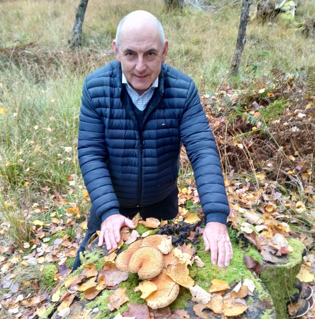 Foraging in the Lake District at Skelwith Fold