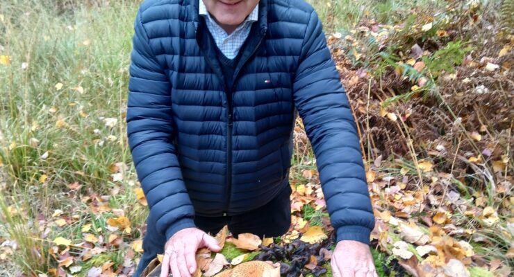 Foraging in the Lake District at Skelwith Fold