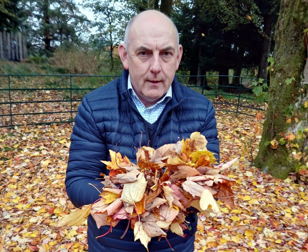 aa platinum award skelwith fold