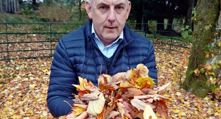 aa platinum award skelwith fold