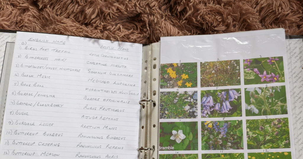 drovers way flora fauna