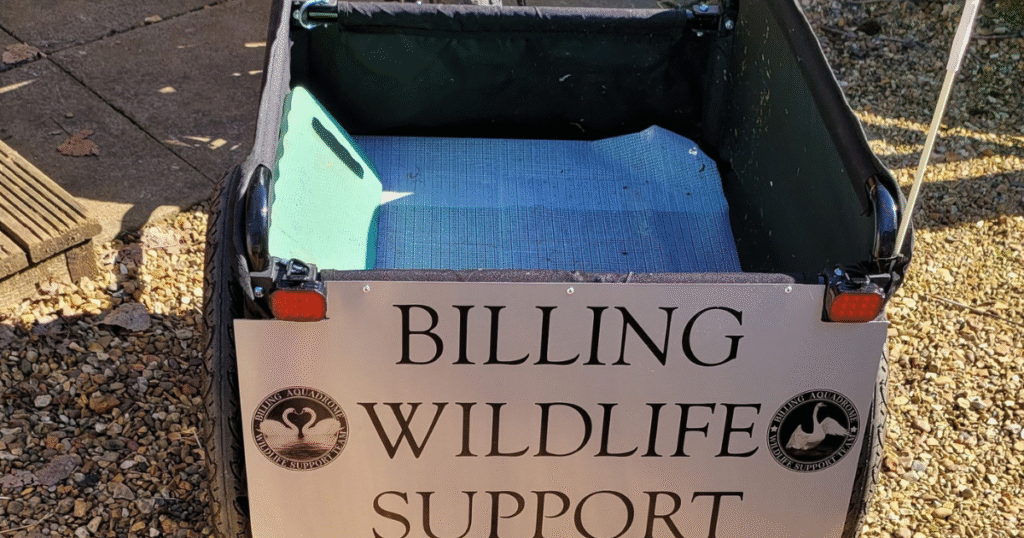 billing wildlife support