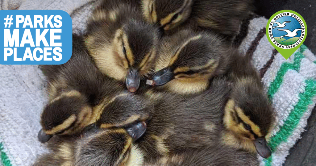 billing aquadrome parks make places