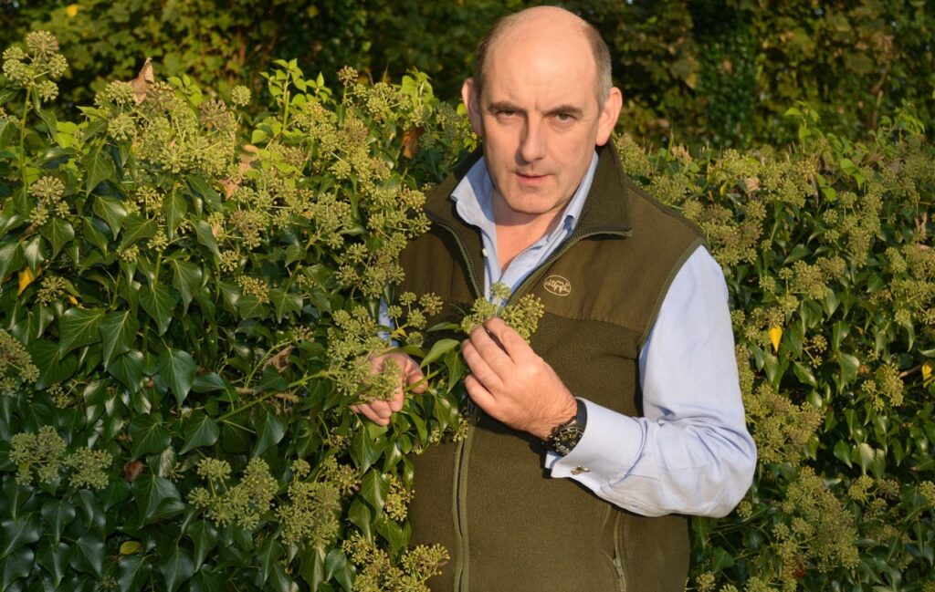 Moss Wood caravan park Henry wild