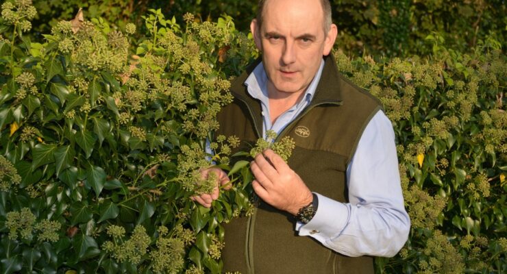 Moss Wood caravan park Henry wild