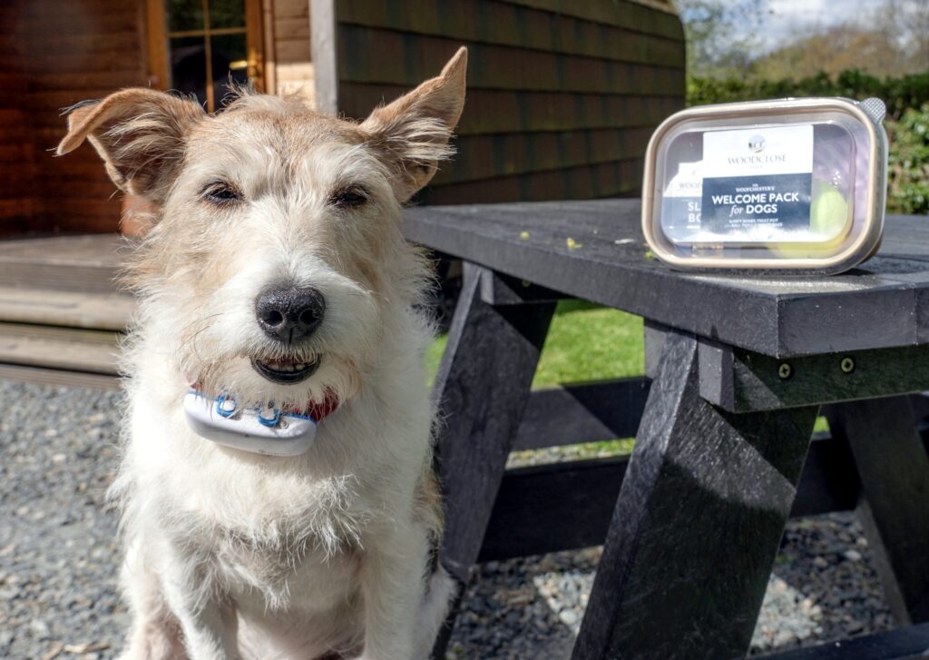 skye recieves harpa award