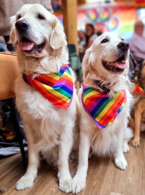 back of beyond pride dogs