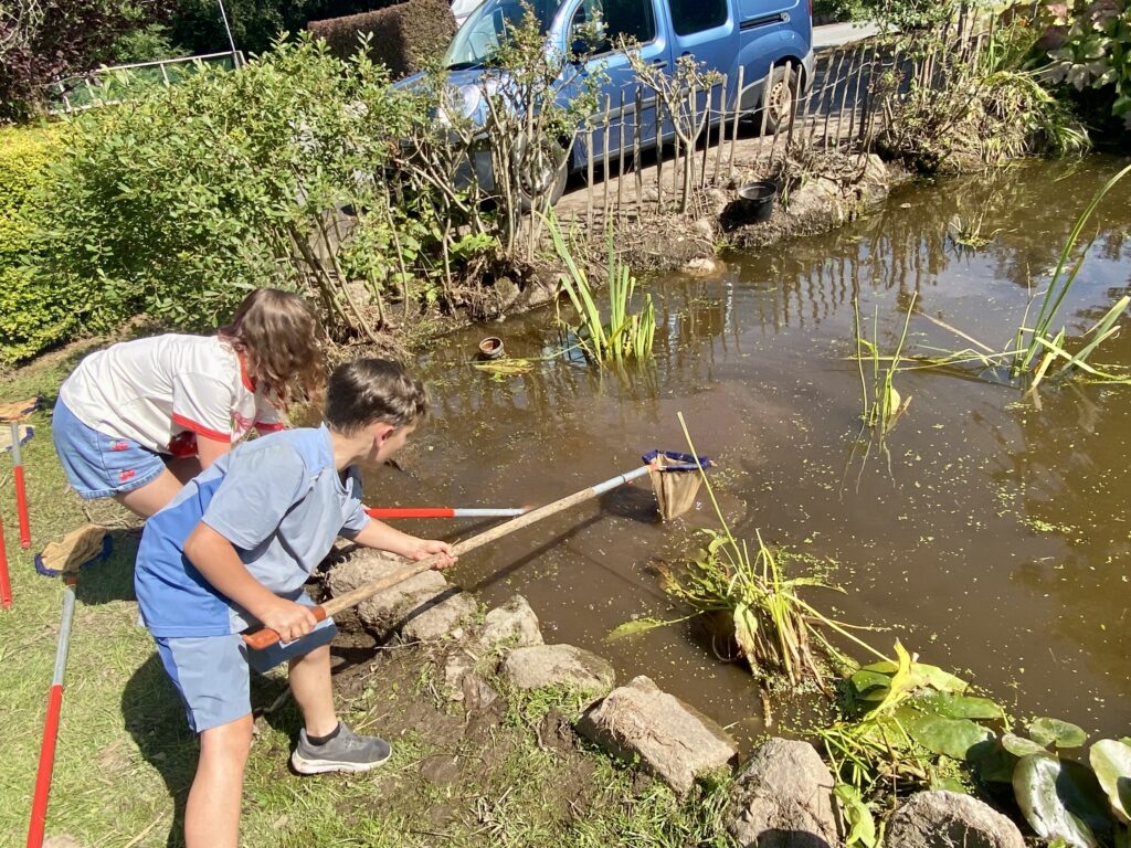 kippford holiday park pond dipping