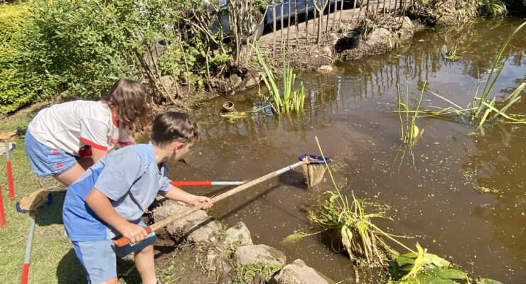 kippford holiday park pond dipping