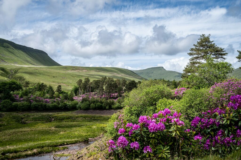 brecon breacons