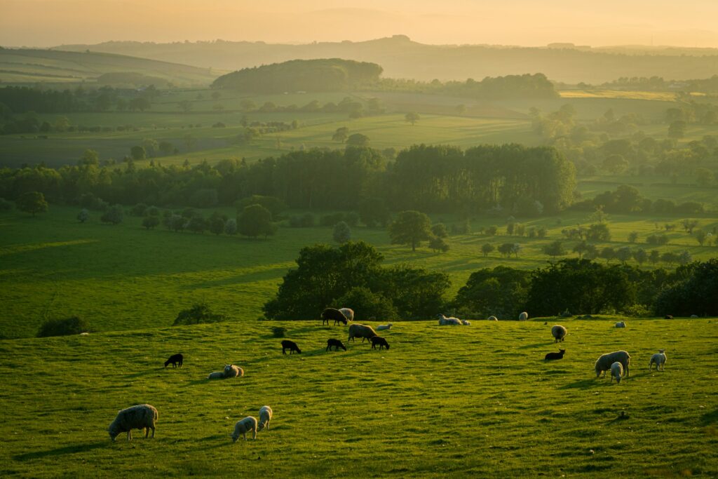 yorkshire dales national park